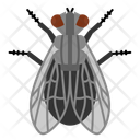 پیش‌نمایش فایل fly-10273087 از پک حشرات