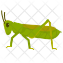 پیش‌نمایش فایل grasshopper-10273083 از پک حشرات