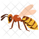 پیش‌نمایش فایل hornet-10273088 از پک حشرات