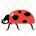 پیش‌نمایش فایل ladybug-10273089 از پک حشرات