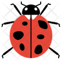 پیش‌نمایش فایل ladybug-10273090 از پک حشرات