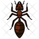 پیش‌نمایش فایل ant-10273047 از پک حشرات