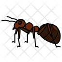 پیش‌نمایش فایل ant-10273048 از پک حشرات