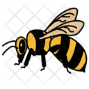 پیش‌نمایش فایل bee-10273050 از پک حشرات