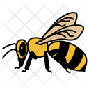 پیش‌نمایش فایل bee-10273051 از پک حشرات