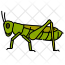 پیش‌نمایش فایل grasshopper-10273055 از پک حشرات