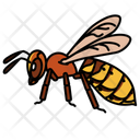 پیش‌نمایش فایل hornet-10273060 از پک حشرات