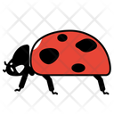 پیش‌نمایش فایل ladybug-10273061 از پک حشرات