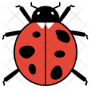 پیش‌نمایش فایل ladybug-10273062 از پک حشرات
