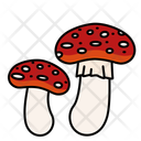 پیش‌نمایش فایل fly-agaric-mushroom-11603065 از پک قارچ