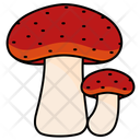 پیش‌نمایش فایل fly-agaric-mushroom-11603070 از پک قارچ