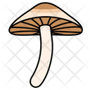پیش‌نمایش فایل magic-mushroom-11603054 از پک قارچ