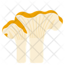 پیش‌نمایش فایل chanterelle-11614915 از پک قارچ