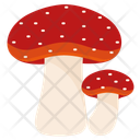 پیش‌نمایش فایل fly-agaric-mushroom-11614928 از پک قارچ