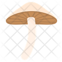 پیش‌نمایش فایل magic-mushroom-11614912 از پک قارچ