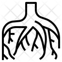 پیش‌نمایش فایل root-2390376 از پک باغبانی و کشاورزی