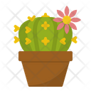 پیش‌نمایش فایل cactus-2436061 از پک باغ و مزرعه