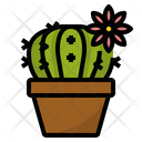 پیش‌نمایش فایل cactus-2431581 از پک باغ و مزرعه