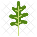 پیش‌نمایش فایل arugula-2863303 از پک سبزیجات