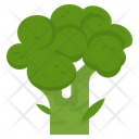 پیش‌نمایش فایل broccoli-2863297 از پک سبزیجات