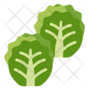 پیش‌نمایش فایل brussel-sprouts-2863296 از پک سبزیجات