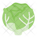 پیش‌نمایش فایل lettuce-2863284 از پک سبزیجات