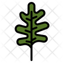 پیش‌نمایش فایل arugula-2860966 از پک سبزیجات