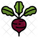 پیش‌نمایش فایل beetroot-2860962 از پک سبزیجات