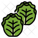 پیش‌نمایش فایل brussel-sprouts-2860959 از پک سبزیجات