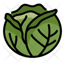پیش‌نمایش فایل cabbage-2860958 از پک سبزیجات
