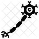 پیش‌نمایش فایل neuron-2941896 از پک زیست‌شناسی