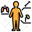 پیش‌نمایش فایل anatomy-2956623 از پک زیست‌شناسی