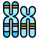 پیش‌نمایش فایل chromosome-2956613 از پک زیست‌شناسی