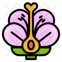 پیش‌نمایش فایل flower-2956610 از پک زیست‌شناسی