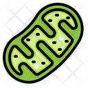 پیش‌نمایش فایل mitochondria-2956601 از پک زیست‌شناسی