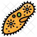 پیش‌نمایش فایل paramecium-2956597 از پک زیست‌شناسی
