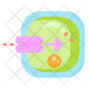 پیش‌نمایش فایل cell-membrane-2956734 از پک زیست‌شناسی