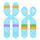پیش‌نمایش فایل chromosome-2956733 از پک زیست‌شناسی