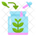پیش‌نمایش فایل plant-experiment-2956714 از پک زیست‌شناسی