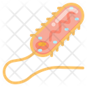پیش‌نمایش فایل prokaryotic-2956712 از پک زیست‌شناسی