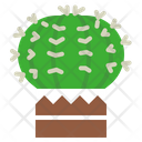 پیش‌نمایش فایل cactus-plant-3564758 از پک متفرقه – جلد ۲
