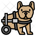 پیش‌نمایش فایل disabled-dog-3841848 از پک حیوانات خانگی