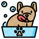 پیش‌نمایش فایل dog-grooming-3841866 از پک حیوانات خانگی