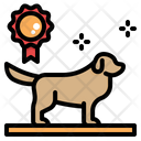 پیش‌نمایش فایل dog-show-3841853 از پک حیوانات خانگی