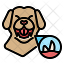 پیش‌نمایش فایل dog-teeth-3841855 از پک حیوانات خانگی