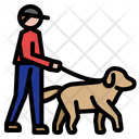 پیش‌نمایش فایل dog-walking-3841858 از پک حیوانات خانگی