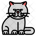 پیش‌نمایش فایل exotic-shorthair-3841860 از پک حیوانات خانگی