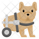 پیش‌نمایش فایل disabled-dog-3841884 از پک حیوانات خانگی