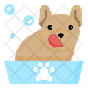 پیش‌نمایش فایل dog-grooming-3841902 از پک حیوانات خانگی