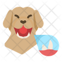 پیش‌نمایش فایل dog-teeth-3841891 از پک حیوانات خانگی
